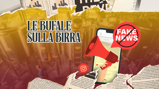 Sale nella Birra? Ecco Perché Non Farlo Mai