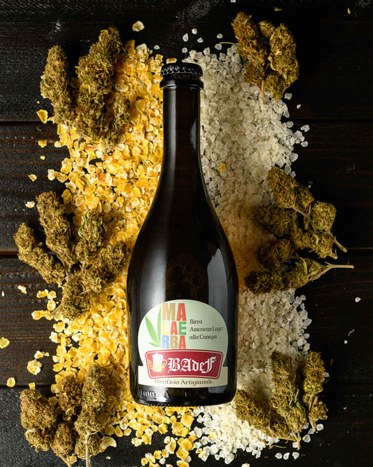 malaerba birra alla cana birrificio artigianale badef