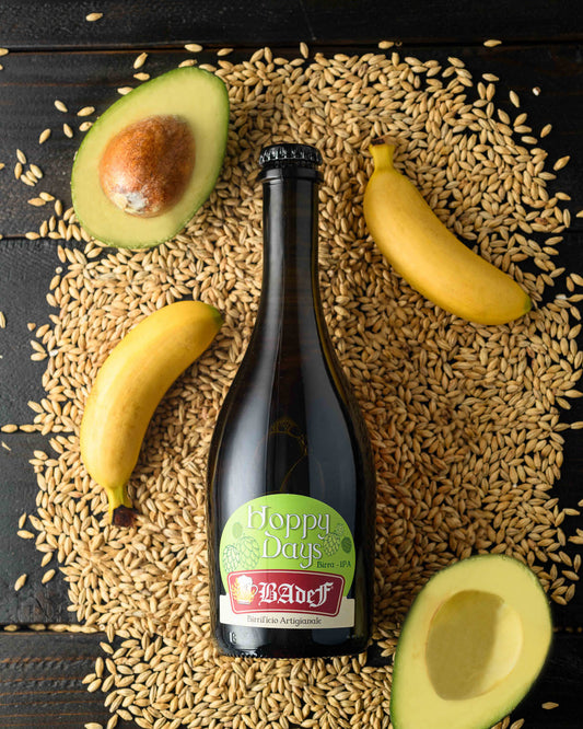 IPA - Hoppy Days 0,5L